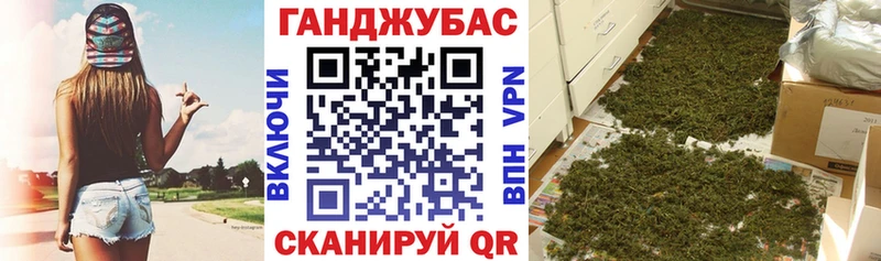 Каннабис сатива сколько стоит Фрязино